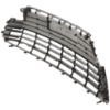 Picture of Bumper Grille