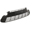 Picture of Bumper Grille