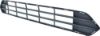 Picture of Bumper Grille