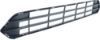 Picture of Bumper Grille