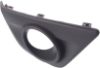 Picture of Fog Light Trim