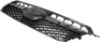 Picture of Grille Assembly