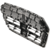 Picture of Grille Assembly