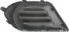 Picture of Fog Light Cover
