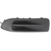 Picture of Fog Light Cover