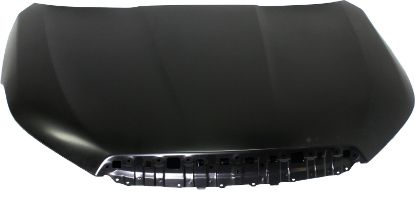 Picture of Hood