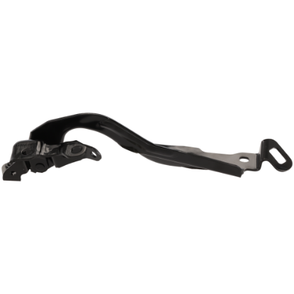 Picture of Hood Hinge