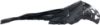 Picture of Fender Liner
