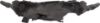 Picture of Engine Splash Shield