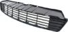 Picture of Bumper Grille