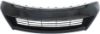 Picture of Bumper Grille