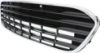 Picture of Bumper Grille