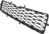 Picture of Bumper Grille