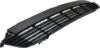 Picture of Bumper Grille