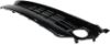 Picture of Bumper Grille
