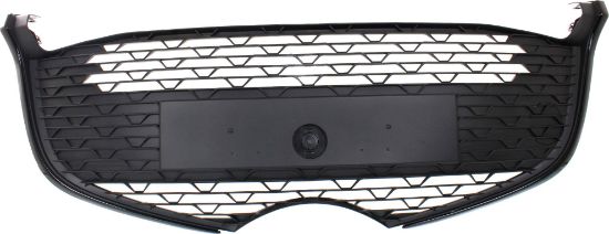 Picture of Bumper Grille