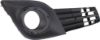 Picture of Fog Light Trim