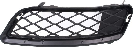 Picture of Bumper Grille