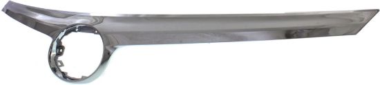 Picture of Grille Trim