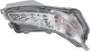 Picture of Turn Signal Light