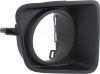Picture of Fog Light Trim