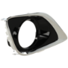 Picture of Fog Light Trim