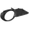 Picture of Fog Light Trim