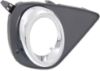 Picture of Fog Light Trim