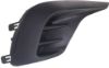 Picture of Fog Light Cover