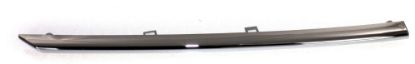 Picture of Fog Light Trim