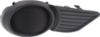 Picture of Fog Light Cover