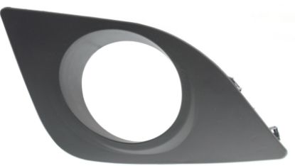 Picture of Fog Light Trim