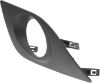 Picture of Fog Light Trim