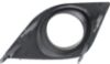 Picture of Fog Light Trim