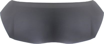 Picture of Hood