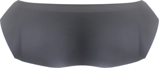 Picture of Hood