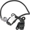 Picture of Back Up Camera