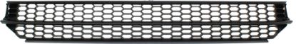 Picture of Bumper Grille