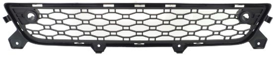 Picture of Bumper Grille