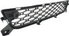 Picture of Bumper Grille