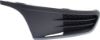 Picture of Fog Light Cover