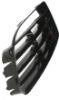 Picture of Bumper Grille