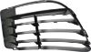 Picture of Bumper Grille