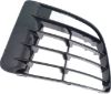 Picture of Bumper Grille