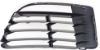Picture of Bumper Grille