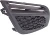 Picture of Fog Light Cover