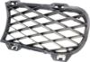 Picture of Bumper Grille