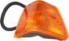 Picture of Turn Signal Light