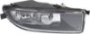 Picture of Fog Light