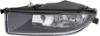 Picture of Fog Light